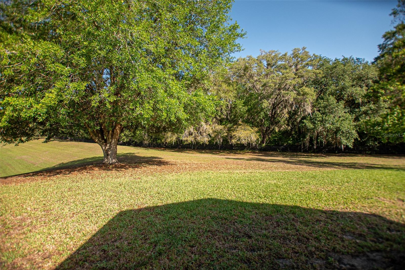 Image 16 of 59 For 16852 96th Chapelwood Circle