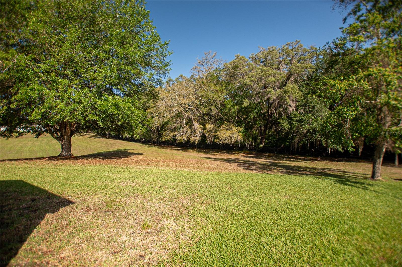 Image 17 of 59 For 16852 96th Chapelwood Circle