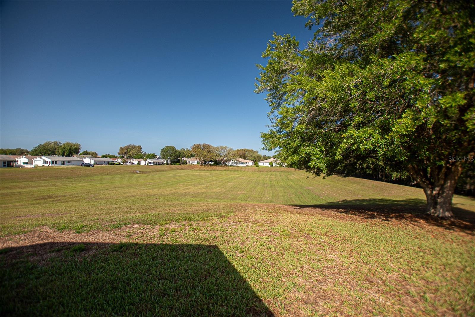 Image 18 of 59 For 16852 96th Chapelwood Circle