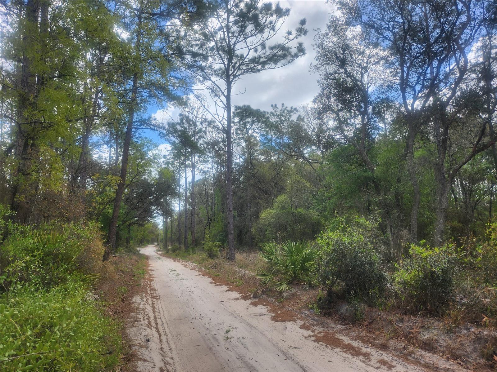 Image 3 of 4 For 7446 151st Place