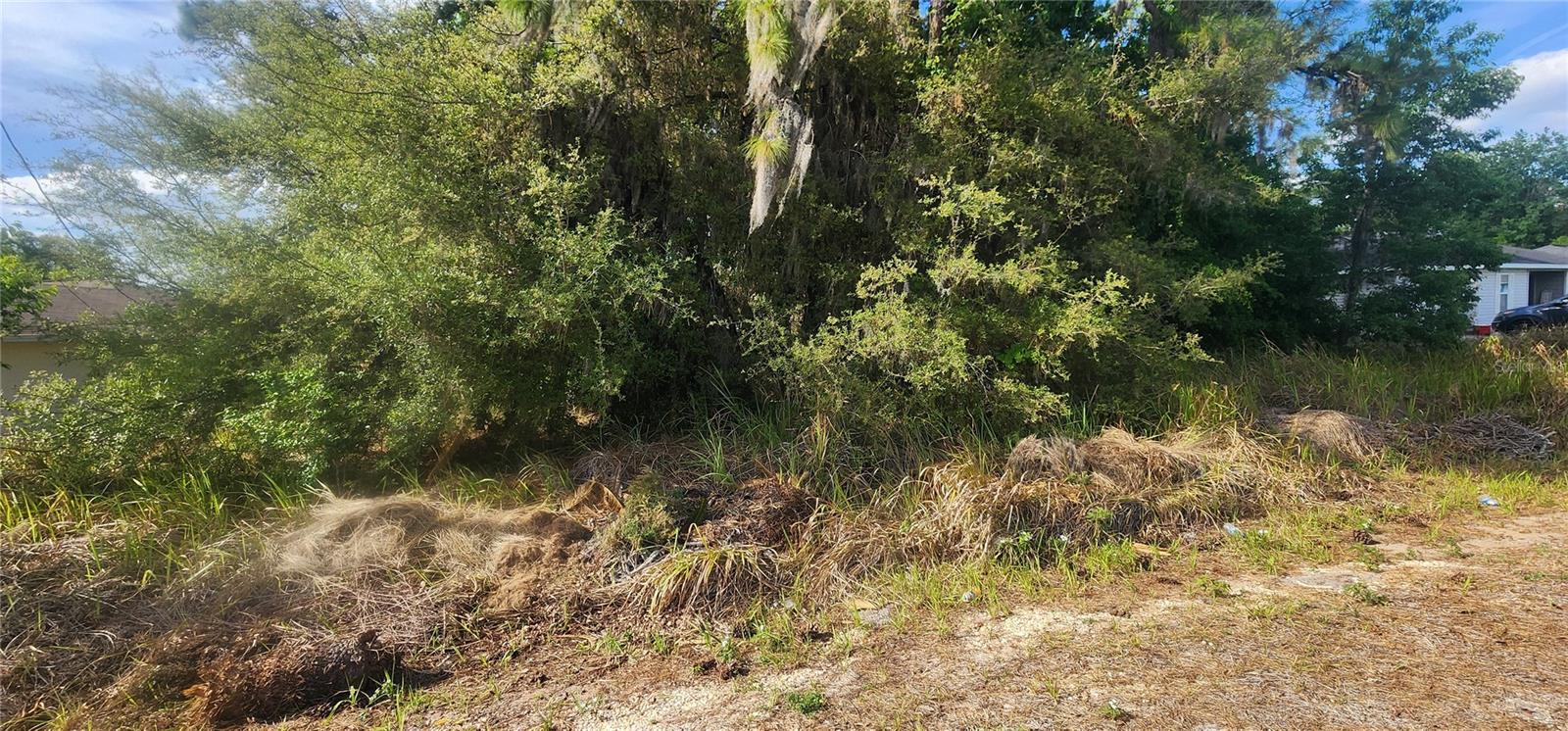 Image 8 of 8 For Lot 19 Dogwood Drive Loop