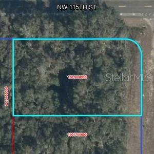 Listing Details for  100 Avenue , WILLISTON, FL 32626