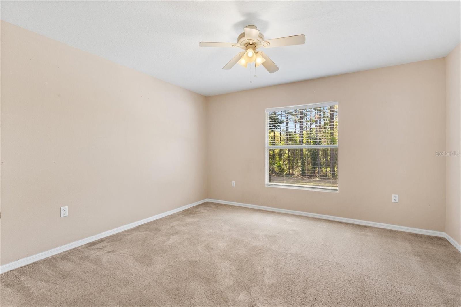 Image 42 of 73 For 2567 Stampede Drive