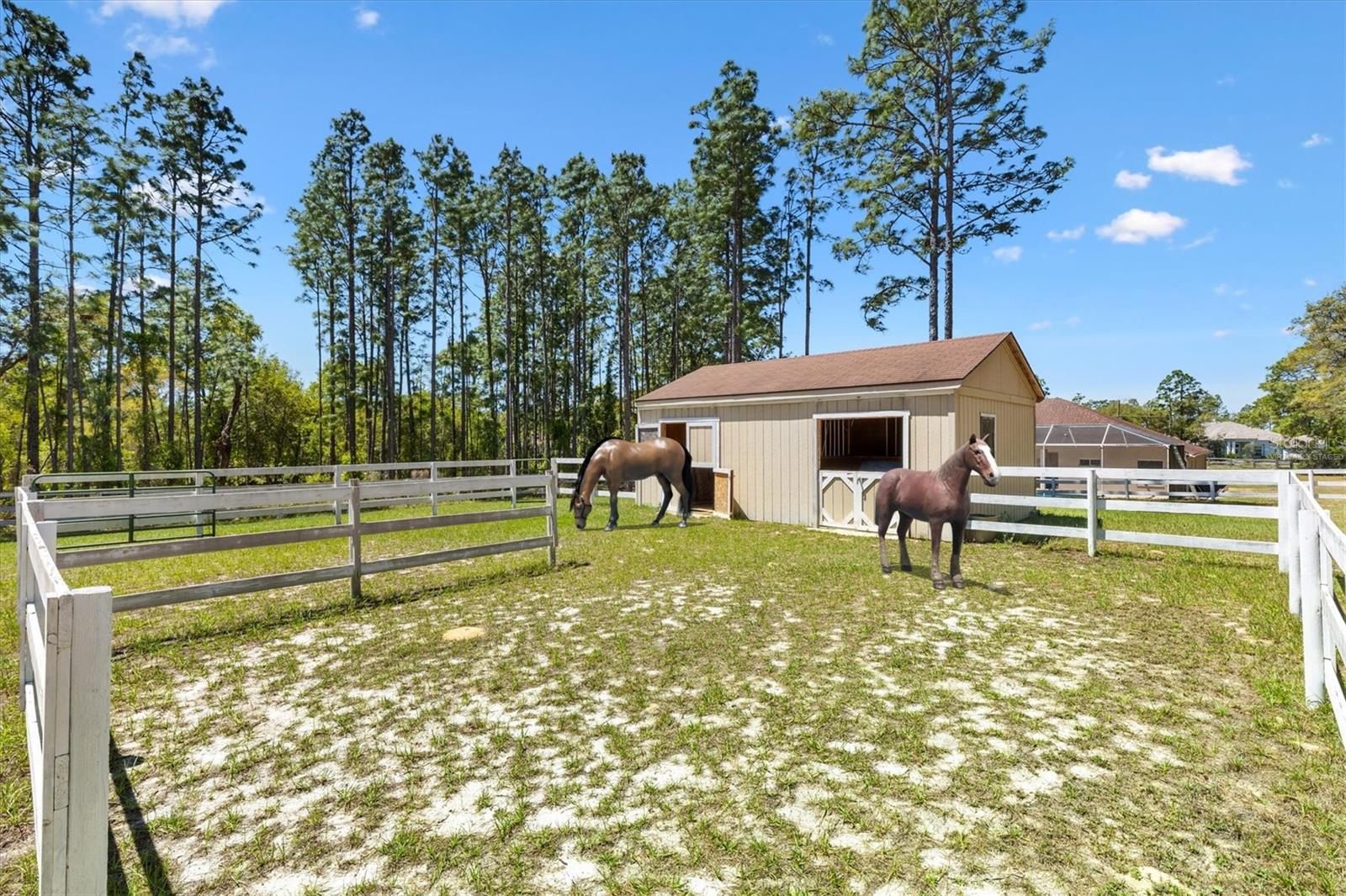 Image 58 of 73 For 2567 Stampede Drive