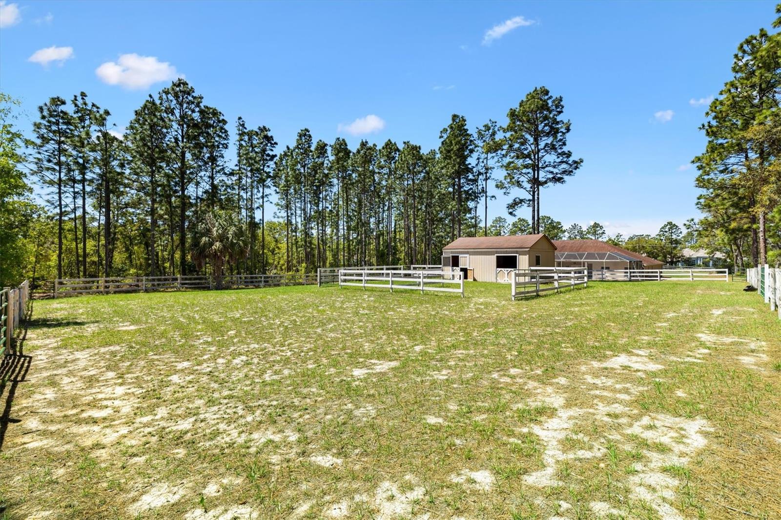 Image 60 of 73 For 2567 Stampede Drive