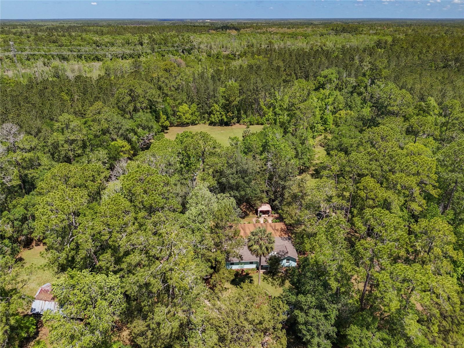 Image 4 of 57 For 10371 Highway 316