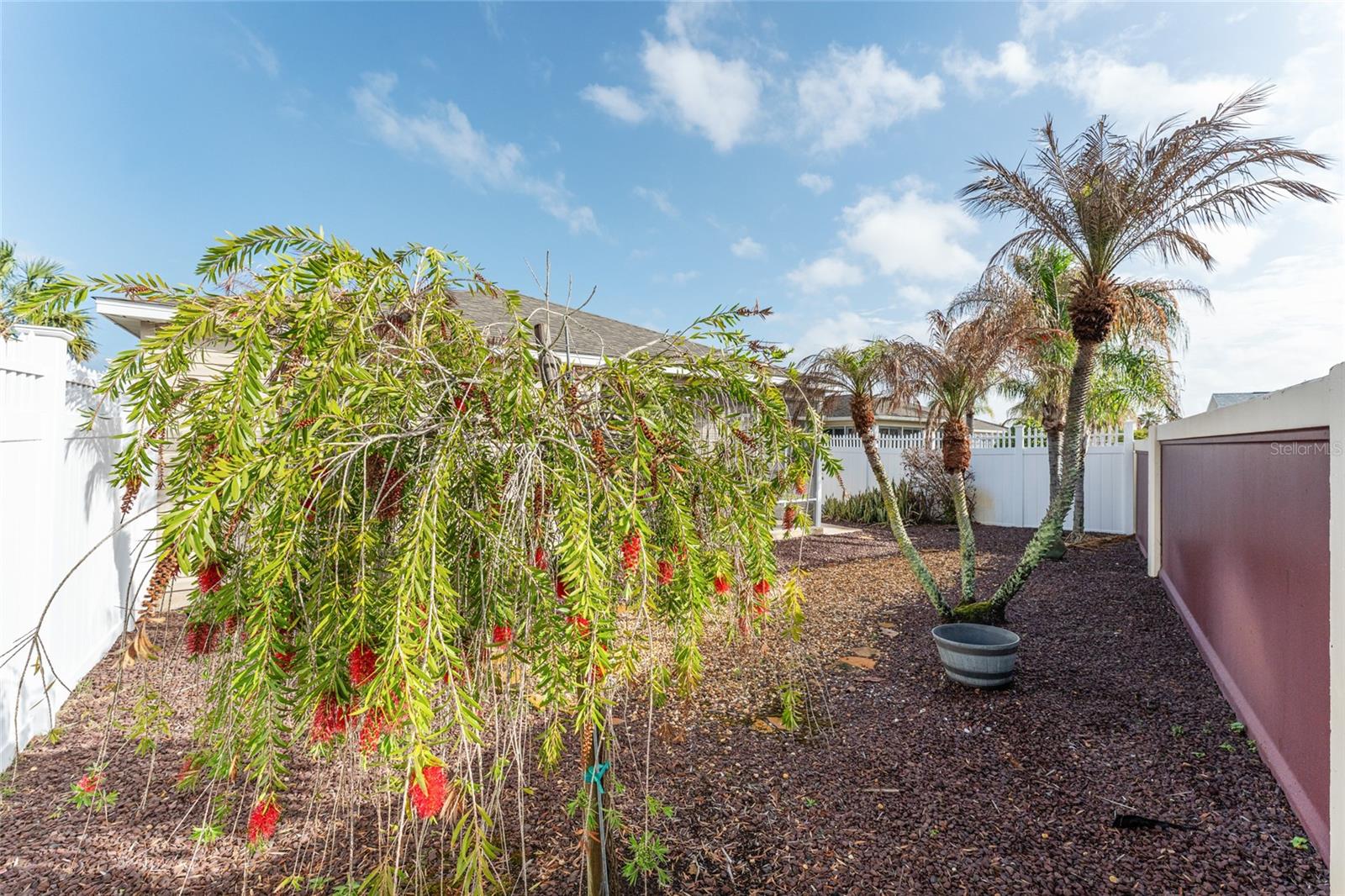 Image 23 of 28 For 2367 Camden Terrace