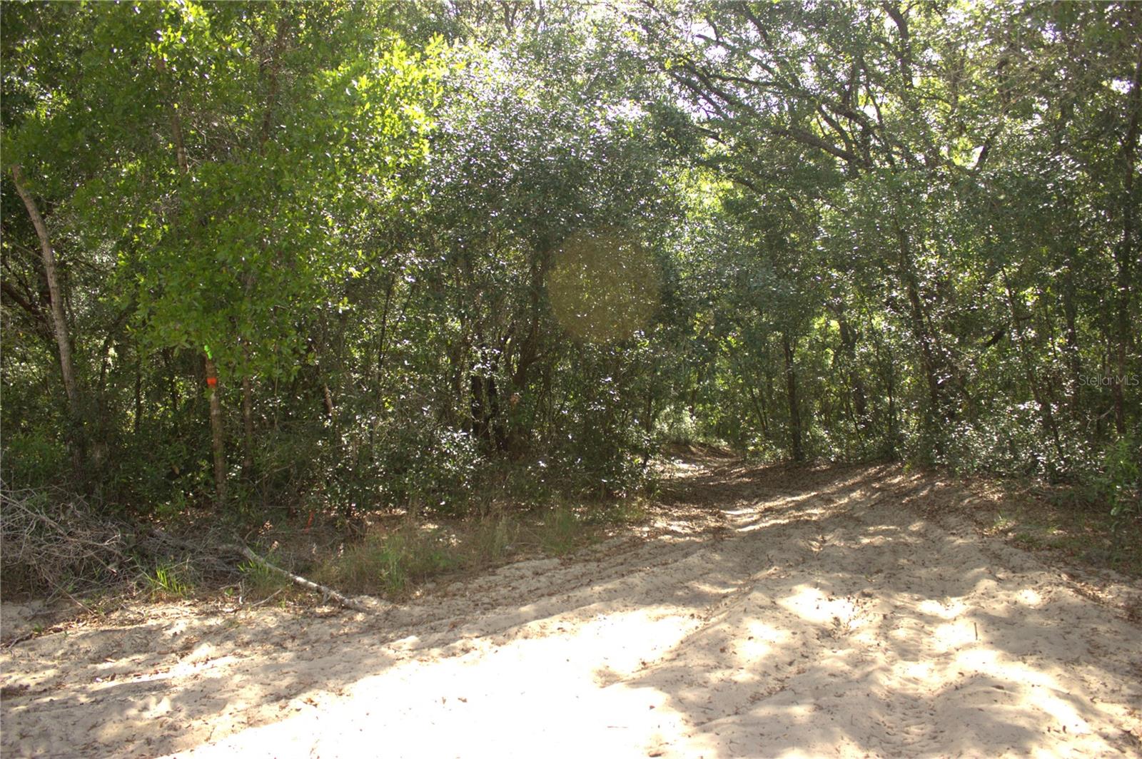 Image 2 of 9 For  Redbud Road 