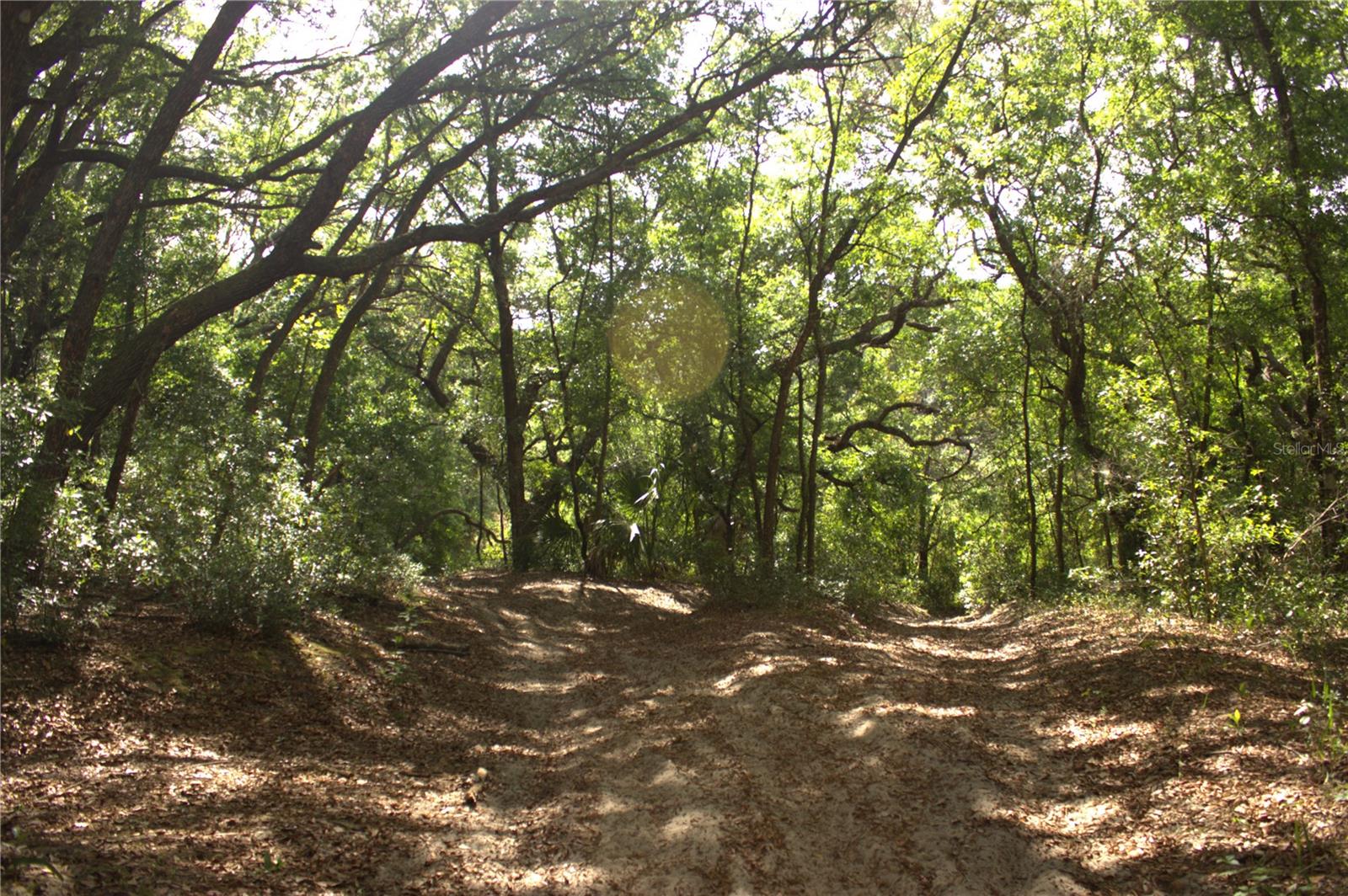 Image 3 of 9 For  Redbud Road 