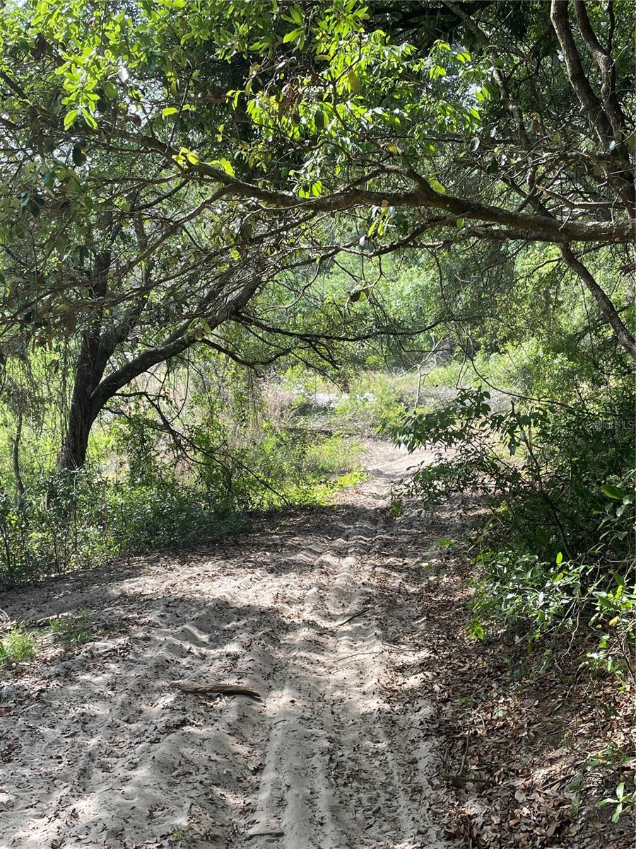 Image 5 of 9 For  Redbud Road 