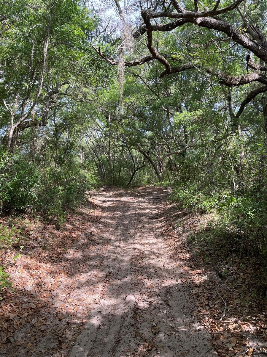 Image 7 of 9 For  Redbud Road 