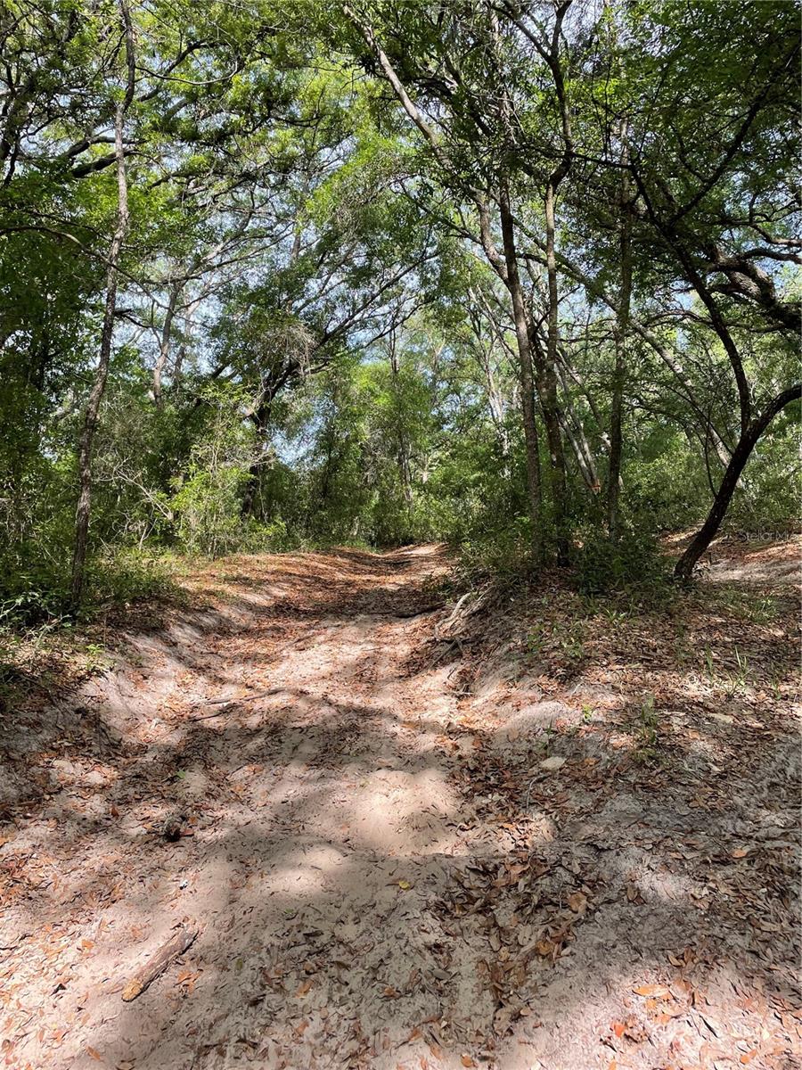 Image 8 of 9 For  Redbud Road 