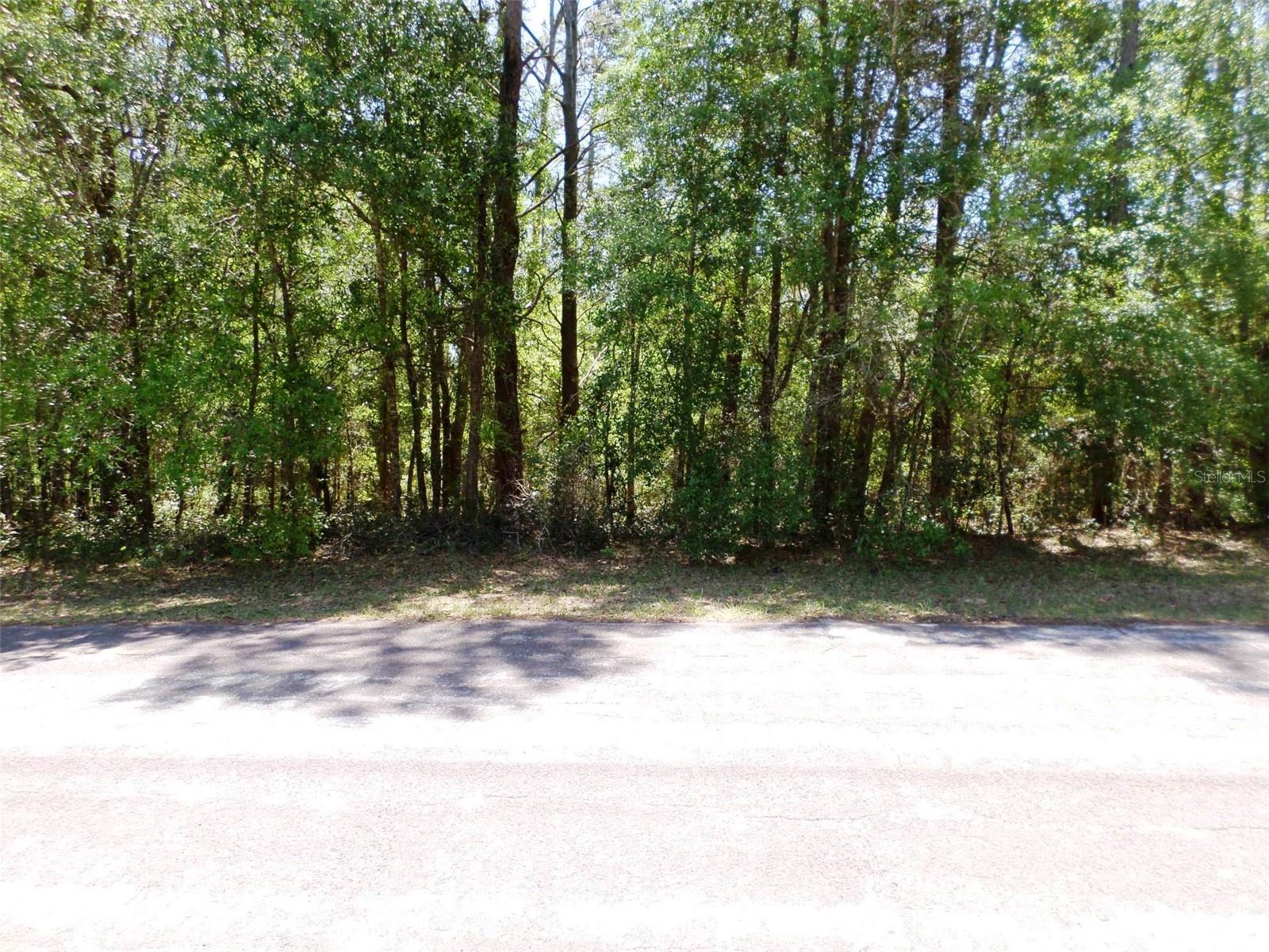 Image 23 of 28 For 1361 Saint Elizabeth Place