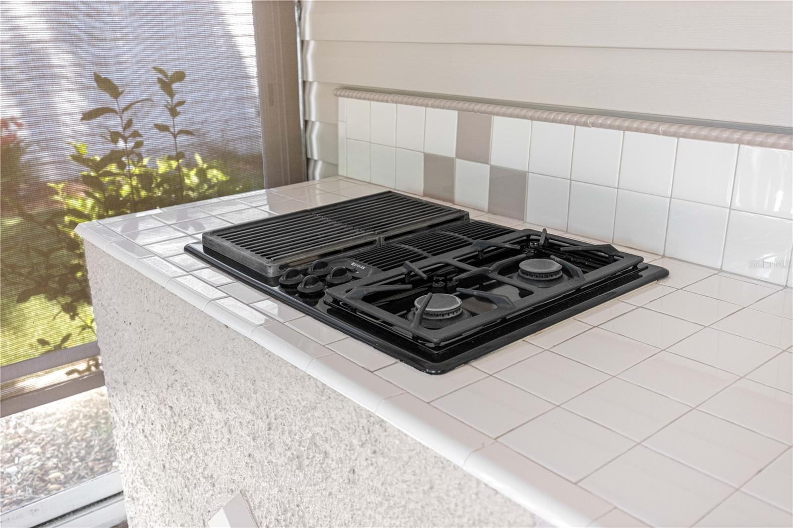 Image 24 of 69 For 16906 77th Northridge Court