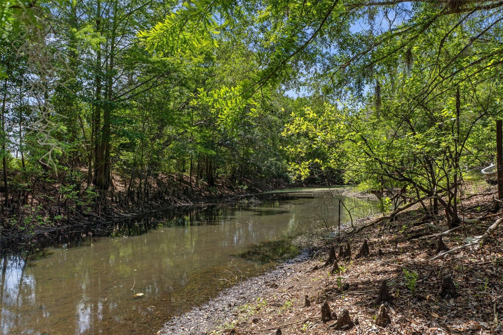 Image 36 of 45 For 6946 Channel Drive