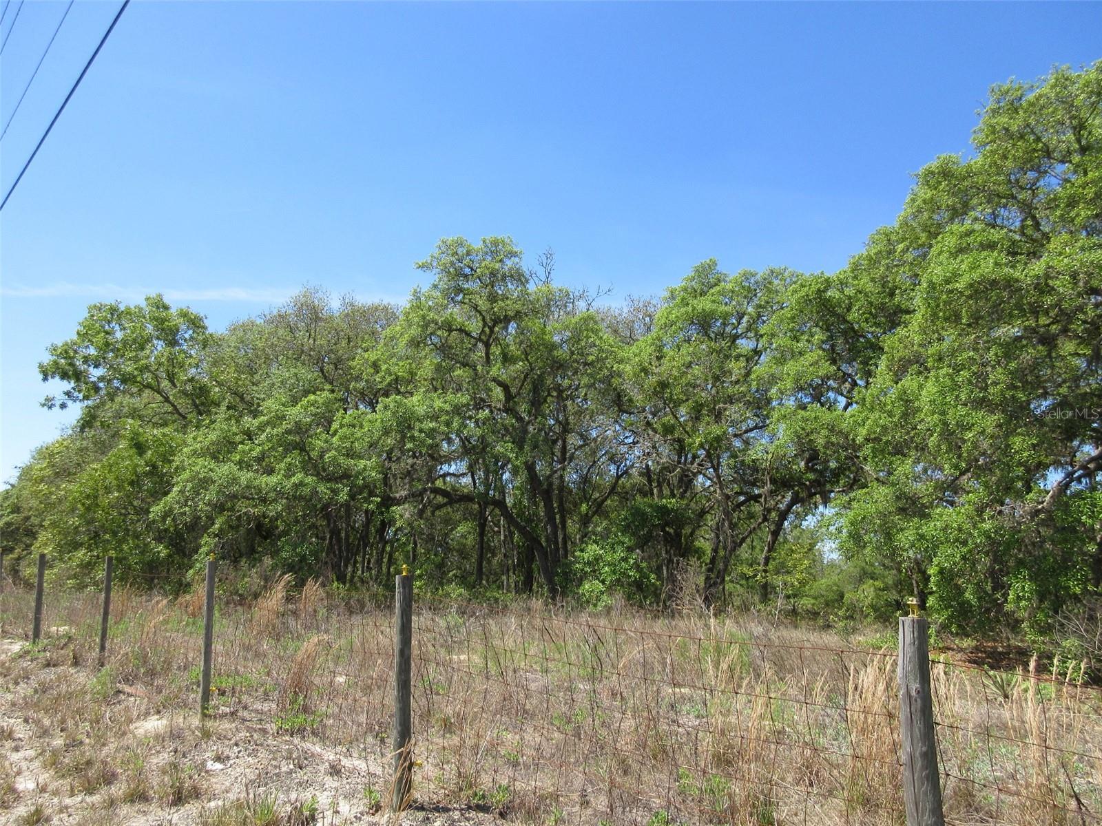 Details for 5439 Oakhill Street, DUNNELLON, FL 34433