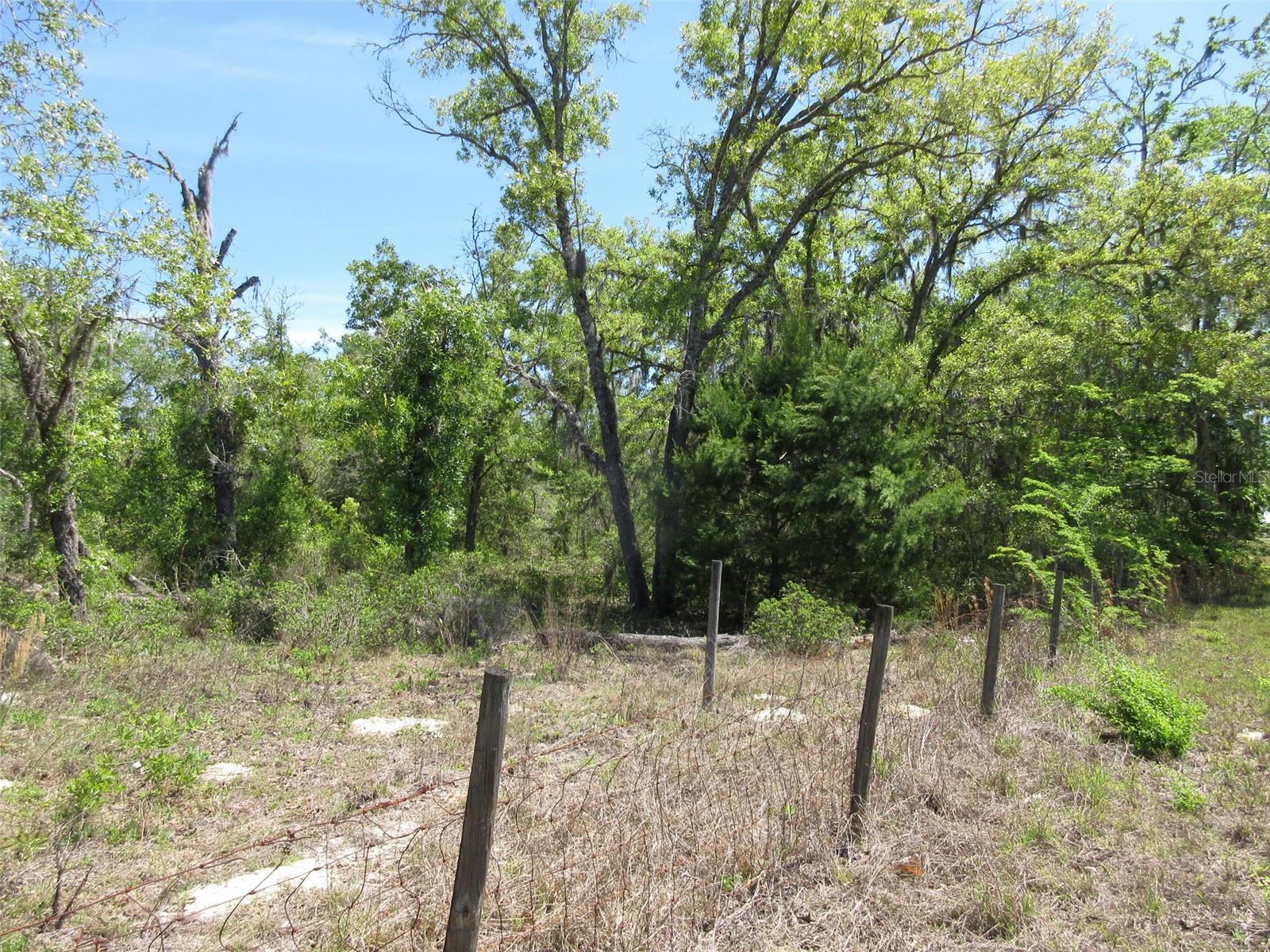 Image 5 of 13 For 5439 Oakhill Street