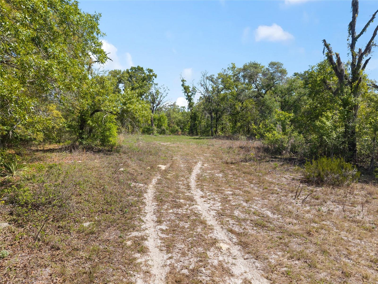 Image 8 of 13 For 5439 Oakhill Street