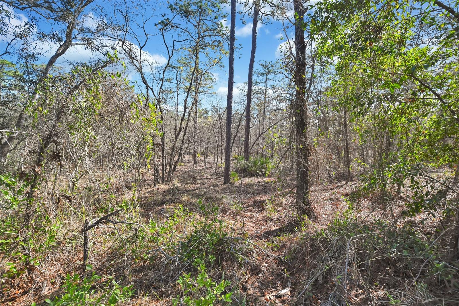 Image 28 of 29 For 17 Elder Court E