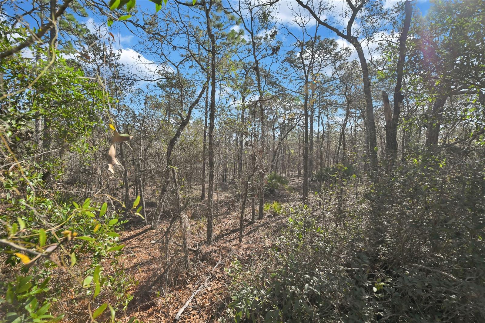 Image 29 of 29 For 17 Elder Court E