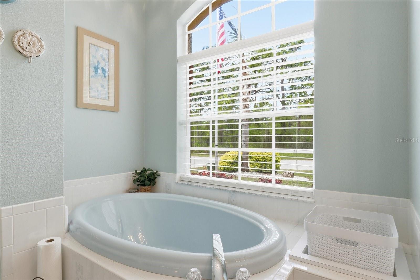 Image 30 of 50 For 16 Calendula Court E