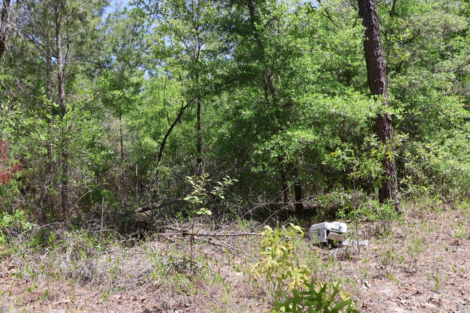 Image 2 of 5 For Tbd 157th Lane