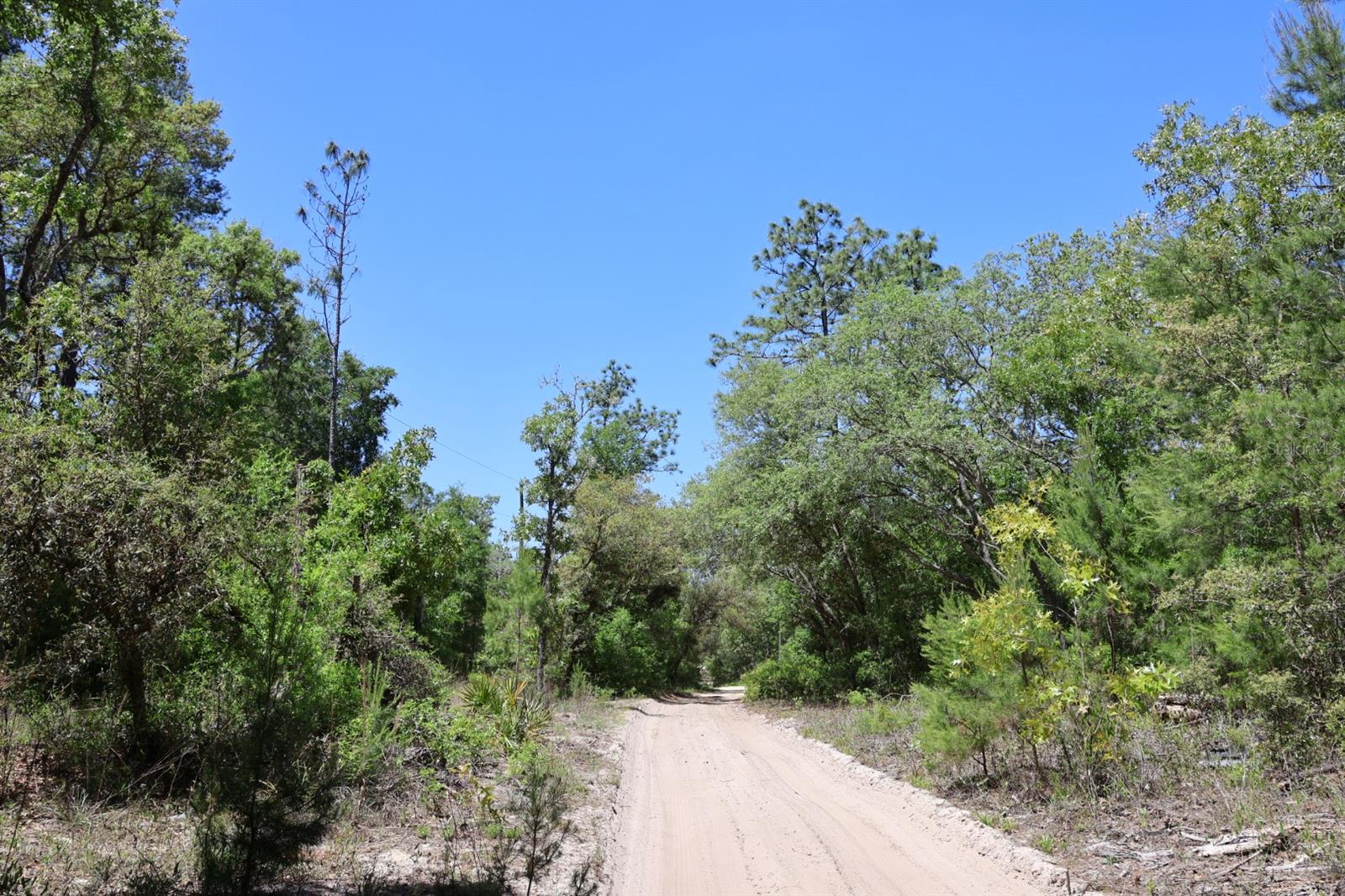 Image 3 of 5 For Tbd 157th Lane