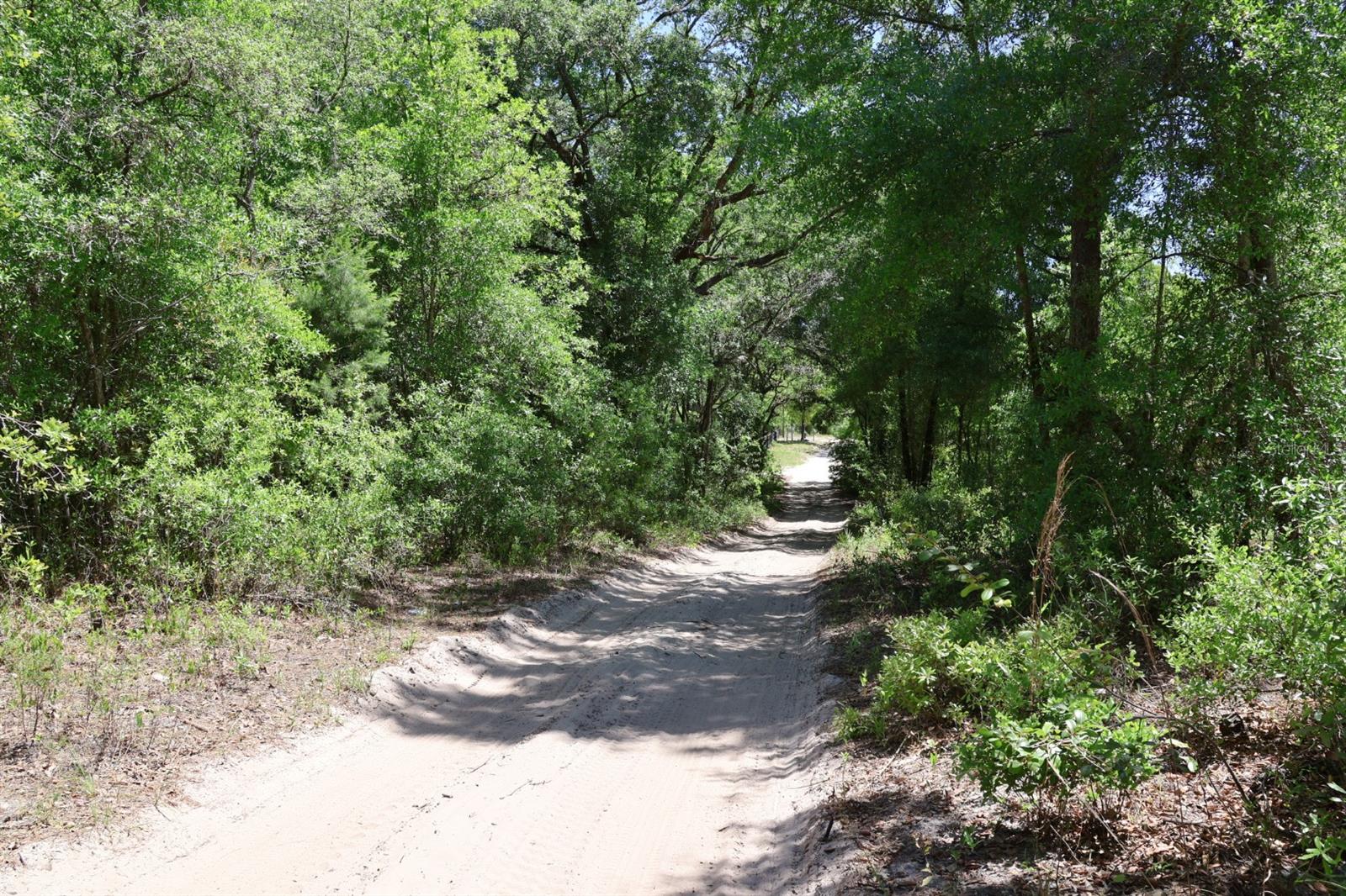 Image 4 of 5 For Tbd 157th Lane