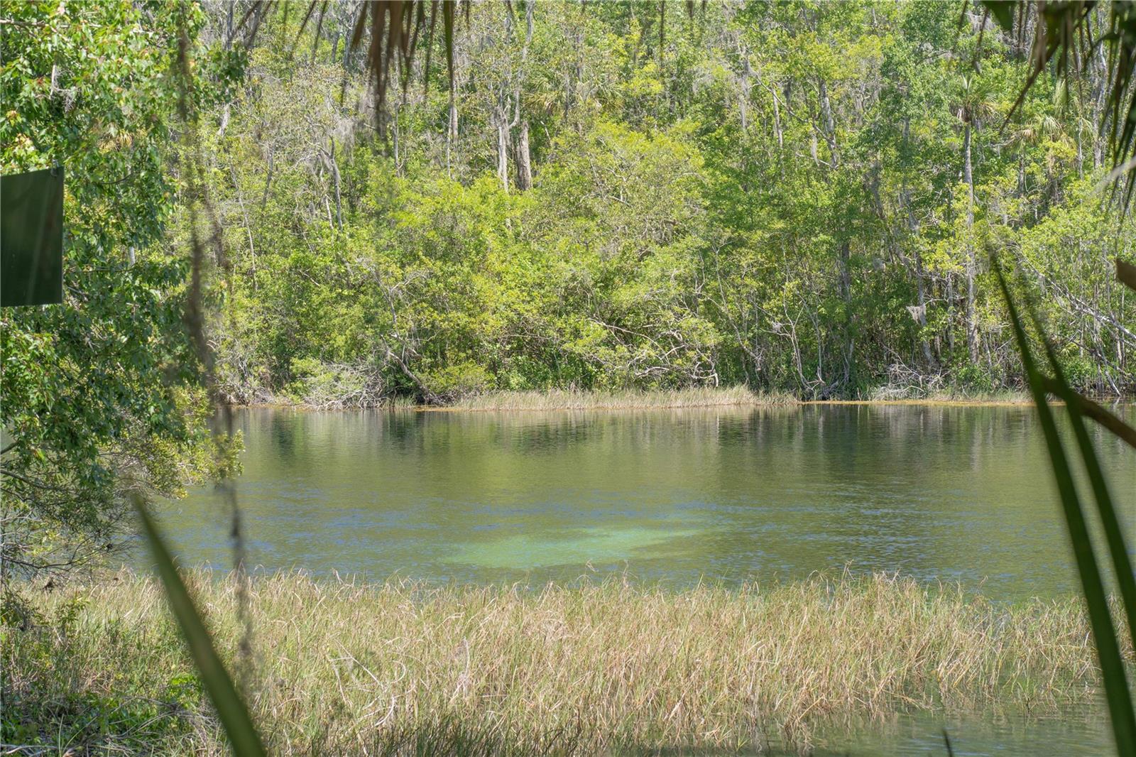 Image 56 of 60 For 8873 200th Circle