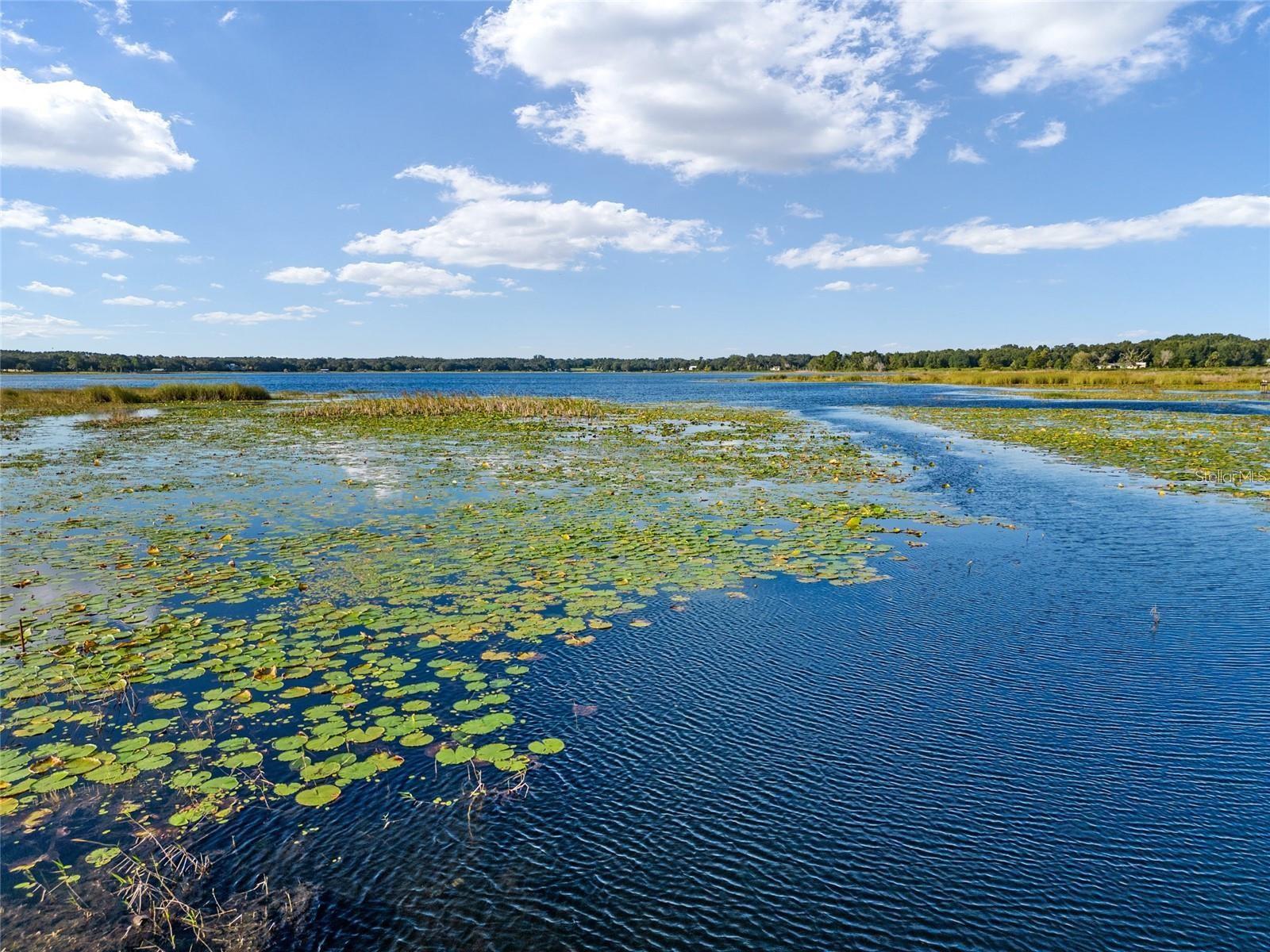 Image 40 of 44 For 9947 117th Street Road