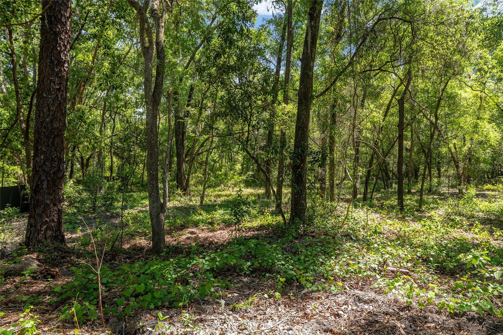 Image 67 of 88 For 20264 69th Place