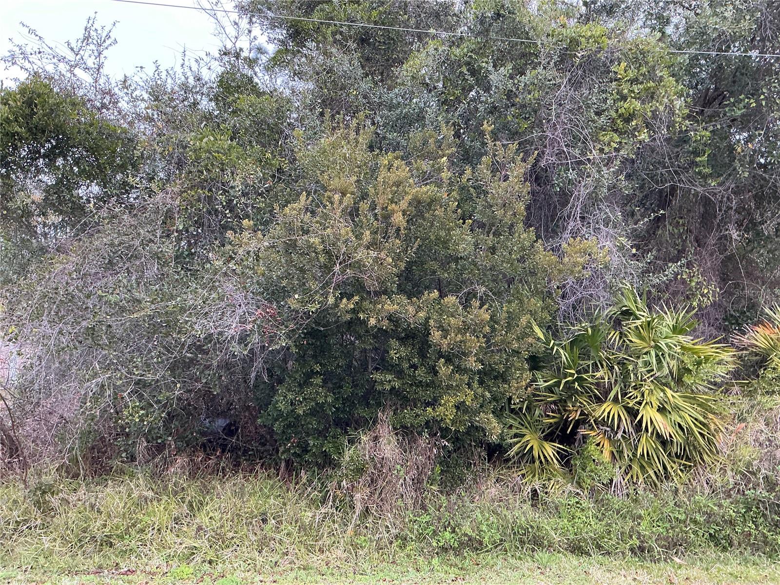 Details for 12 Fayy Lane, PALM COAST, FL 32137