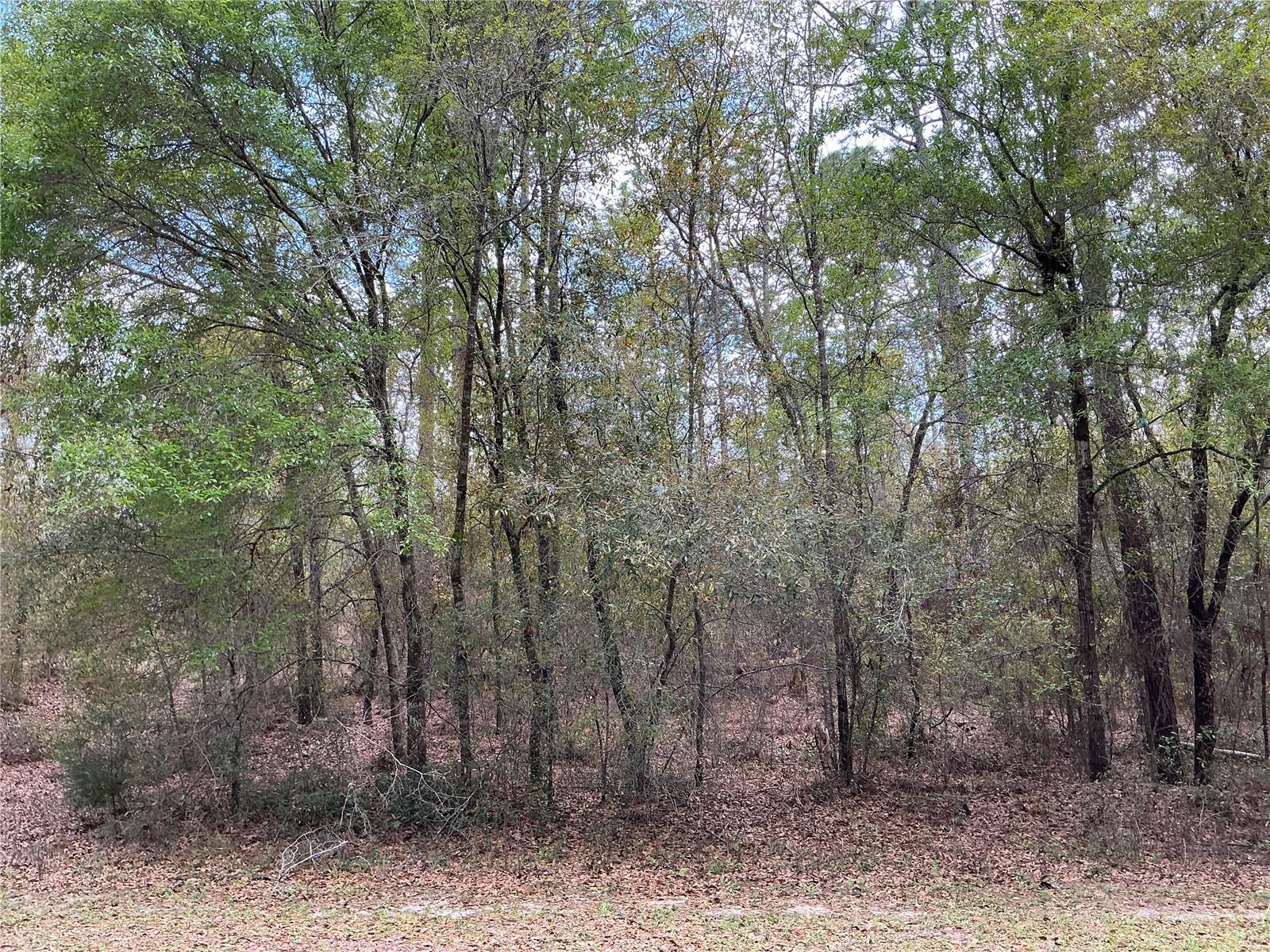 Details for 208th Circle, DUNNELLON, FL 34431