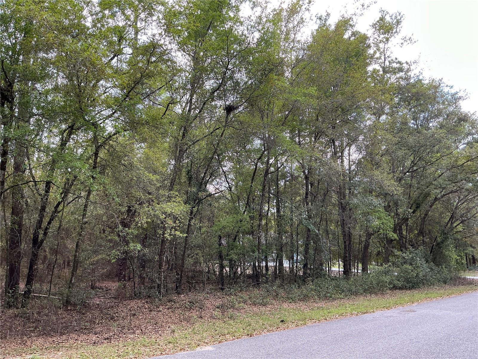 Image 4 of 6 For 208th Circle