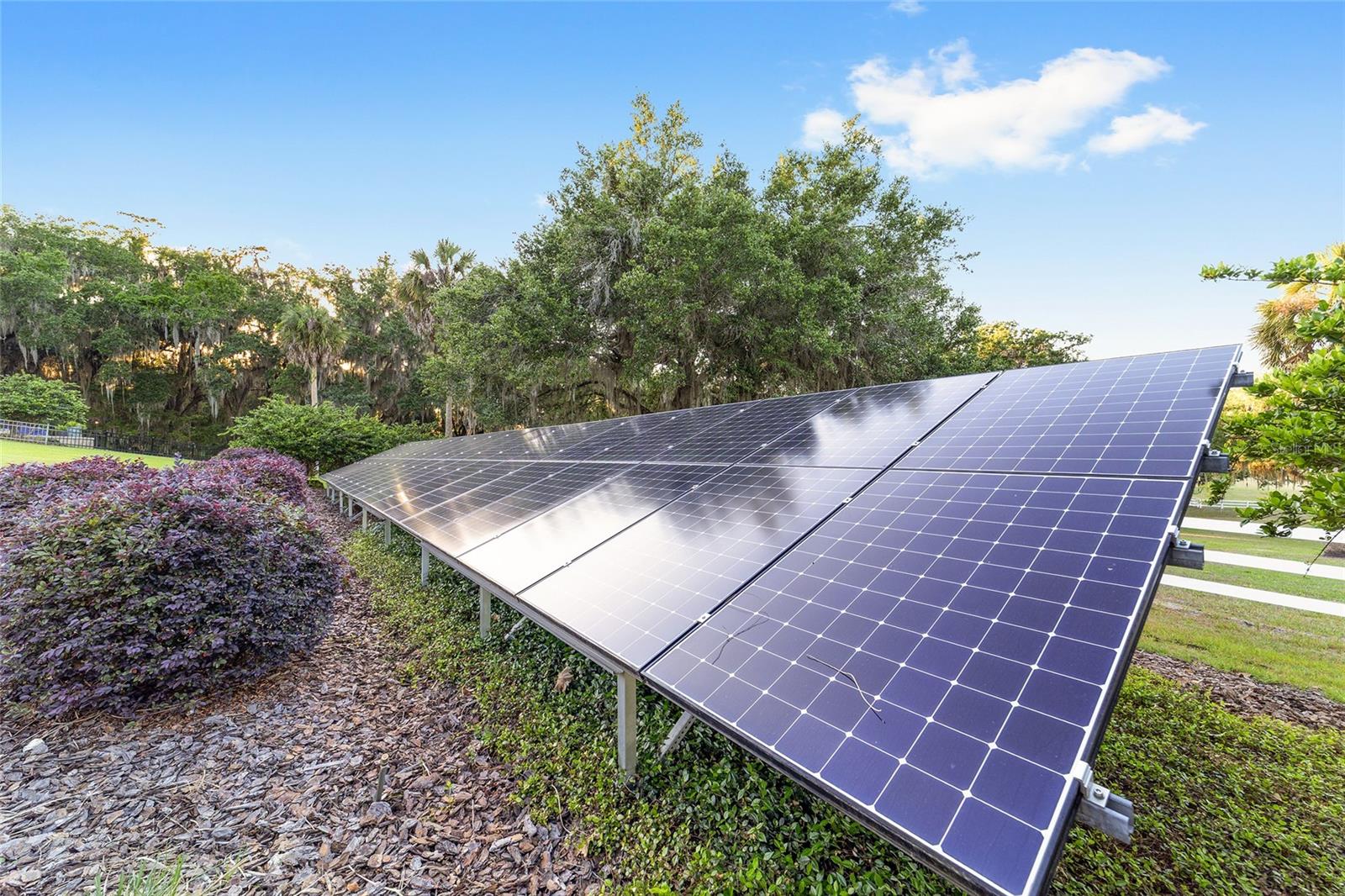 Image 59 of 65 For 22620 Highway 441 N