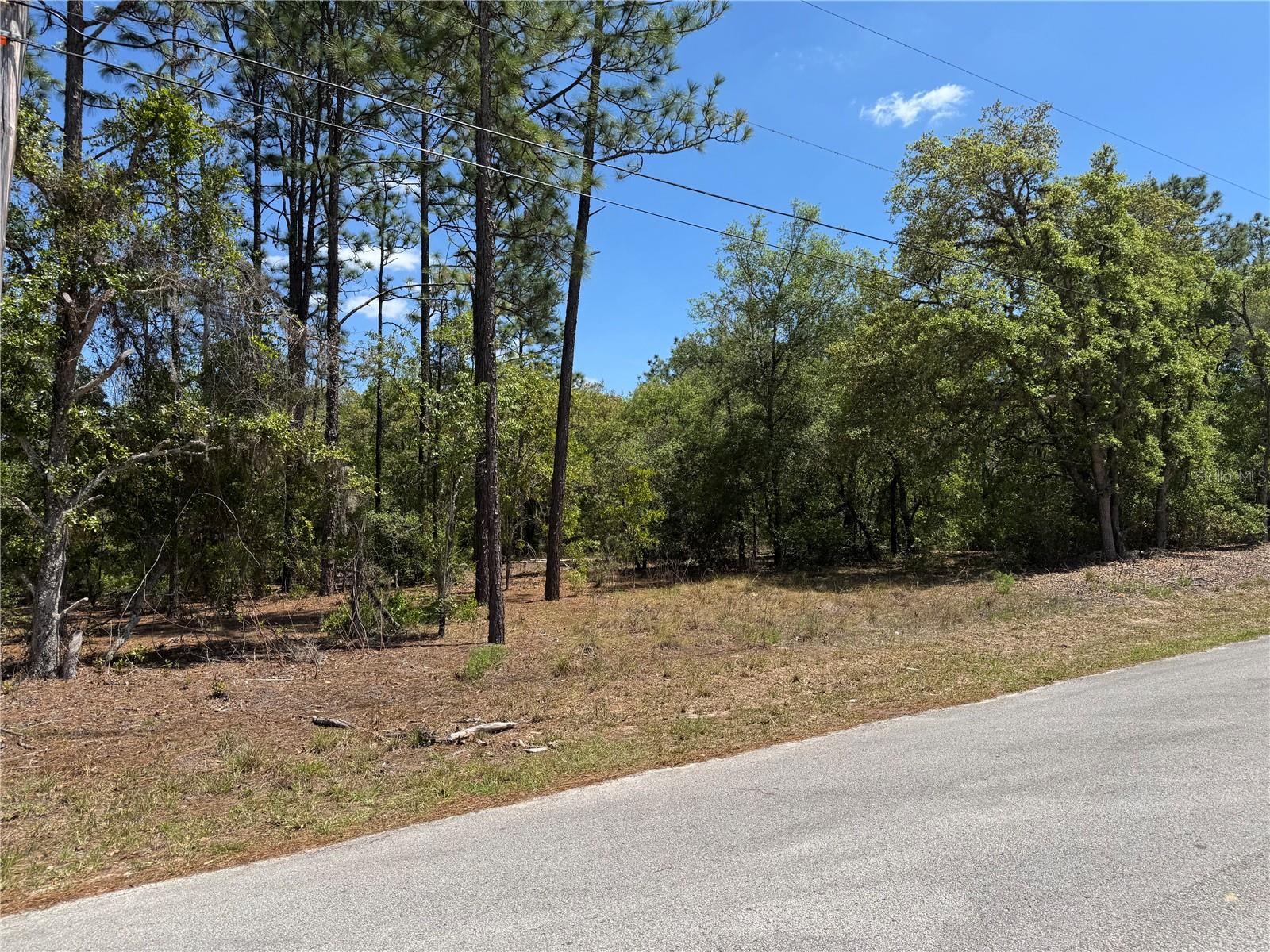 Details for Lot 2 59th Lane, DUNNELLON, FL 34431