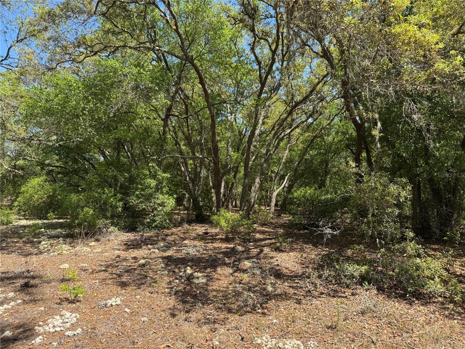 Image 11 of 34 For Lot 2 59th Lane