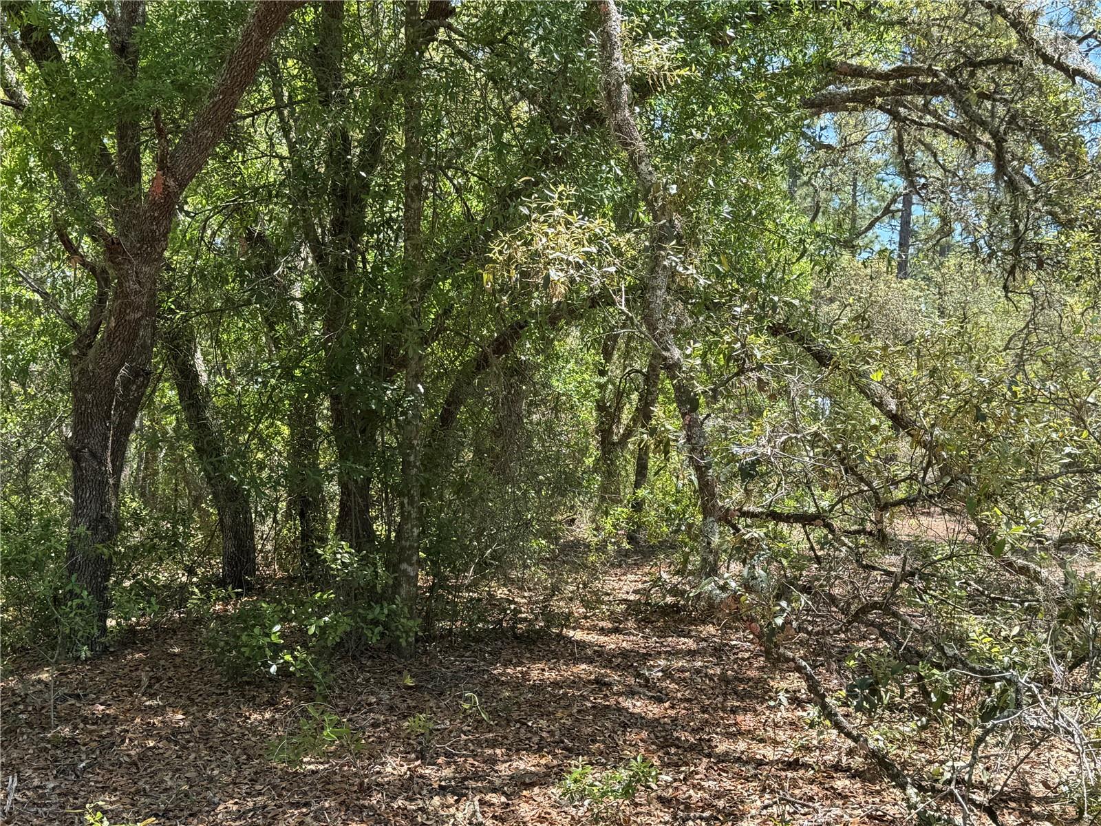 Image 13 of 34 For Lot 2 59th Lane