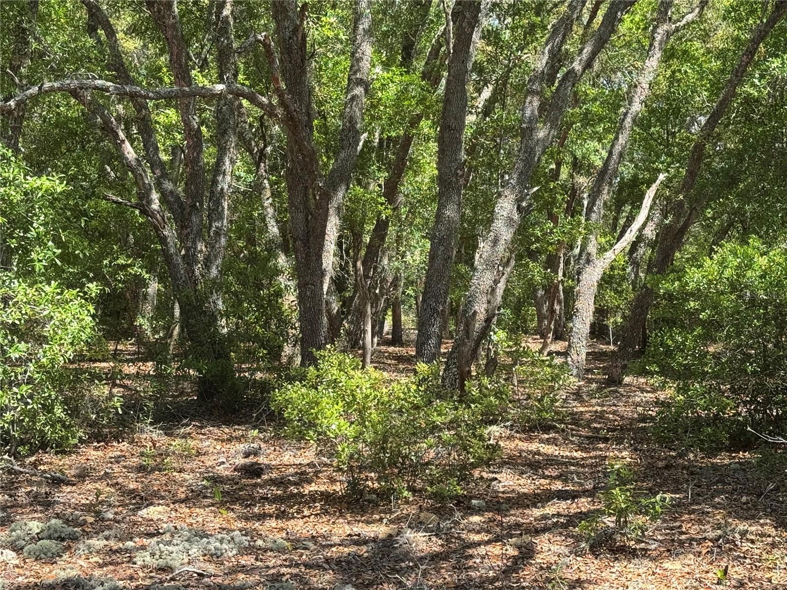 Image 14 of 34 For Lot 2 59th Lane