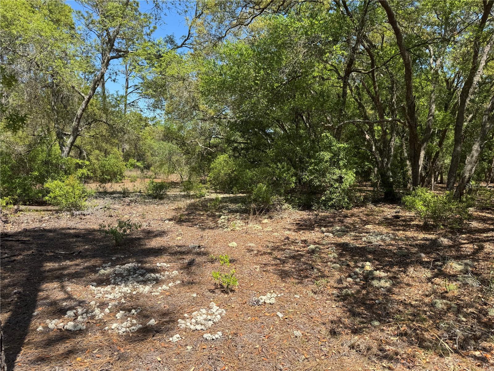 Image 7 of 34 For Lot 2 59th Lane