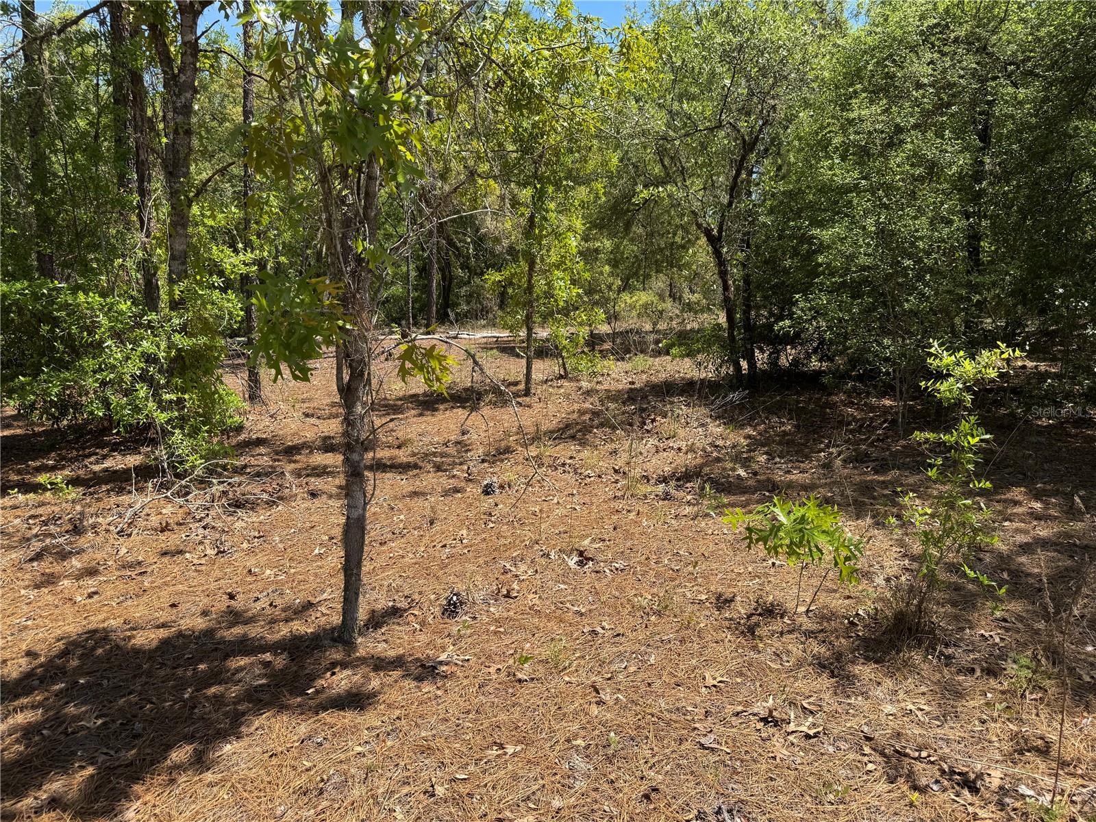 Image 9 of 34 For Lot 2 59th Lane