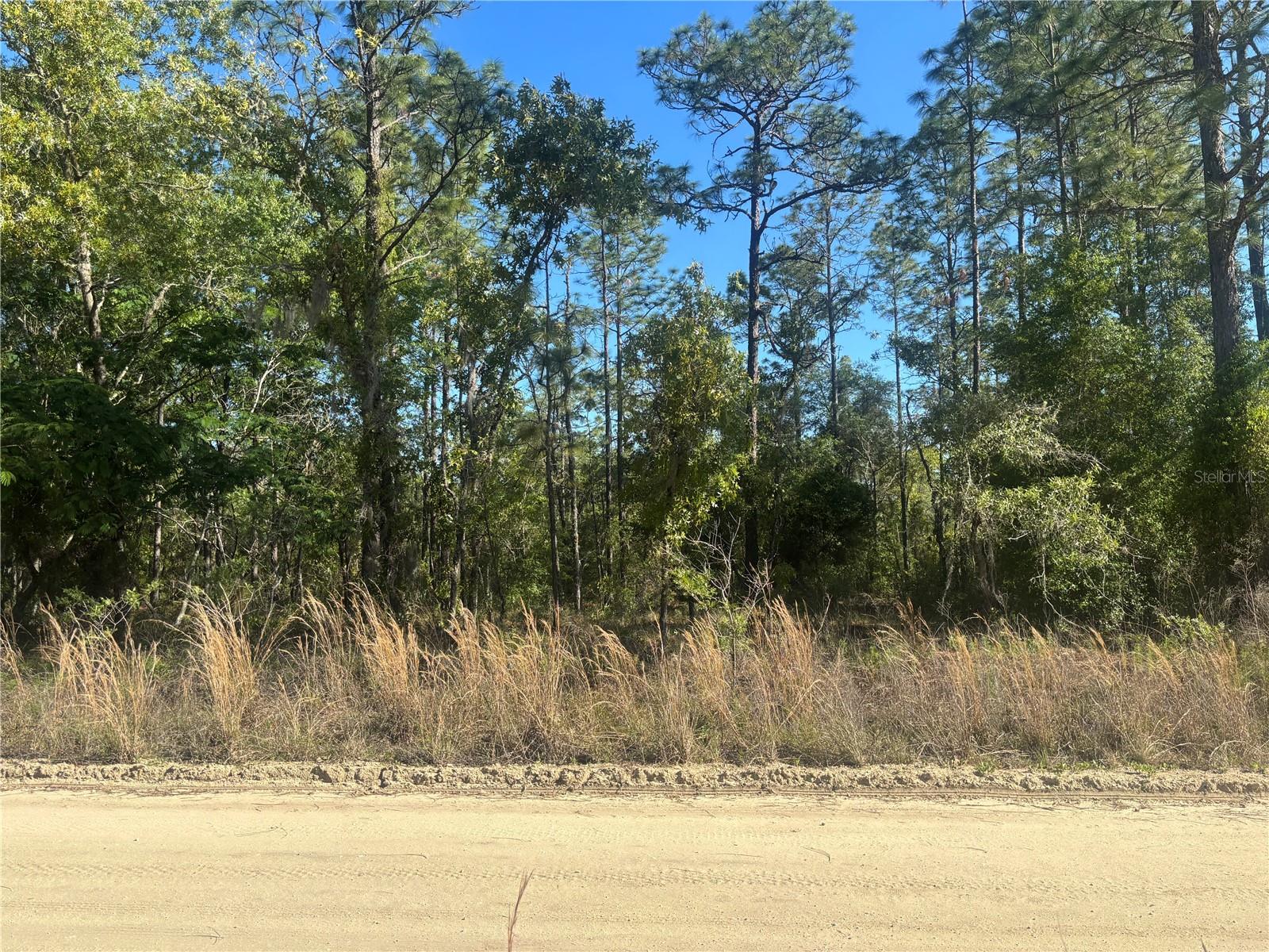 Image 2 of 4 For 0000 8th Place