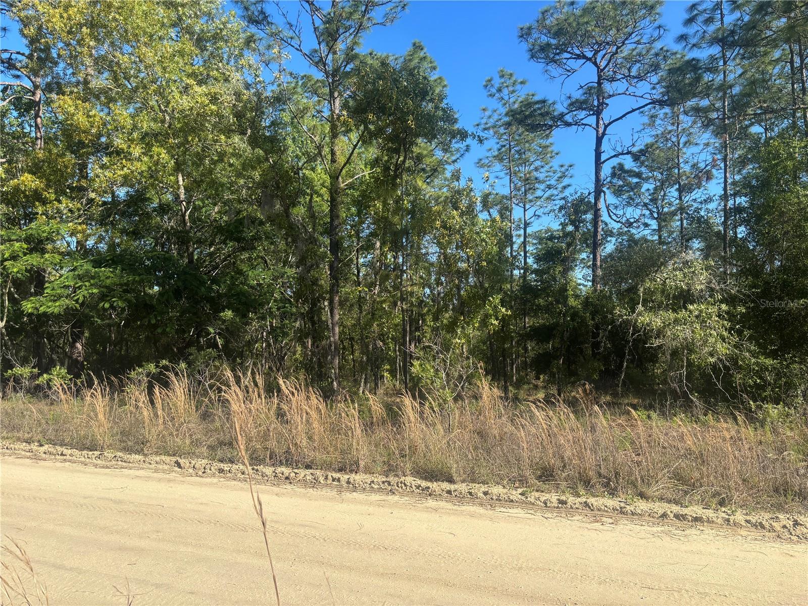 Image 3 of 4 For 0000 8th Place