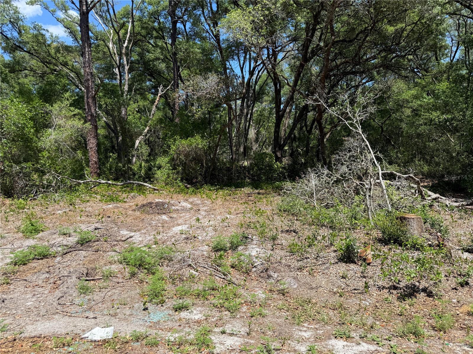 Image 2 of 4 For Fischer Lane Court