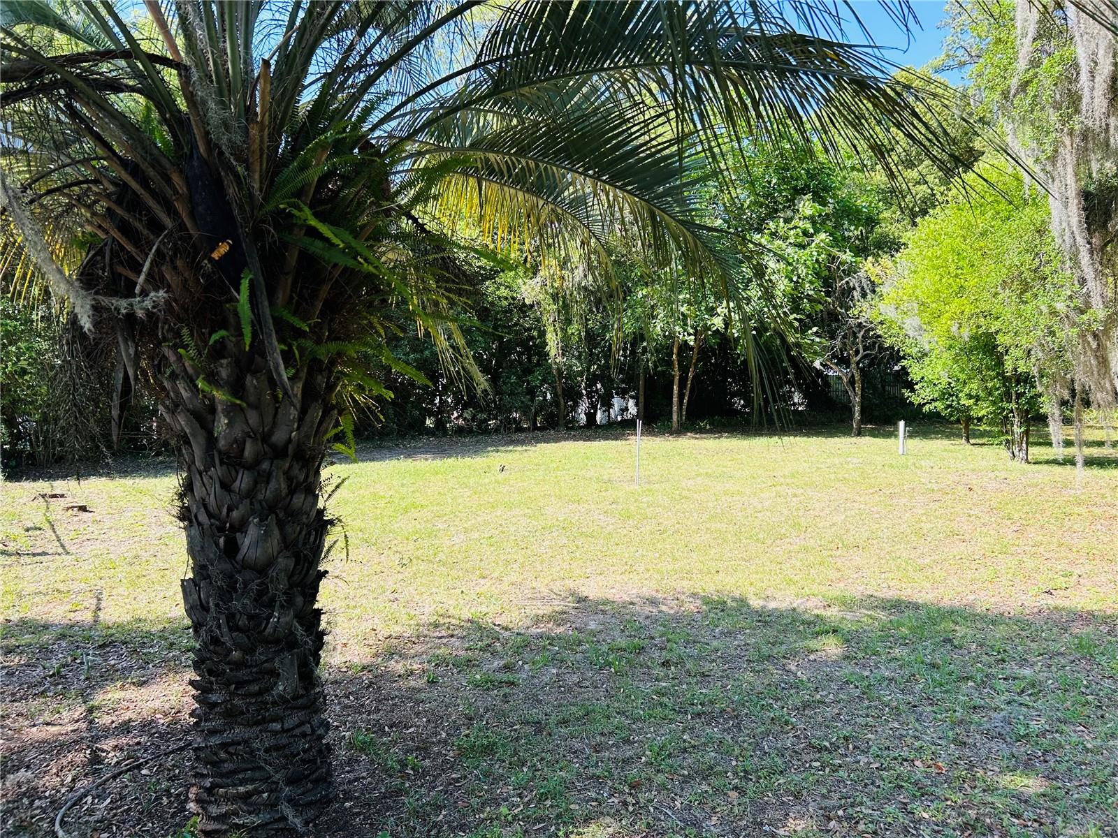 Image 2 of 10 For Tbd 62nd Avenue