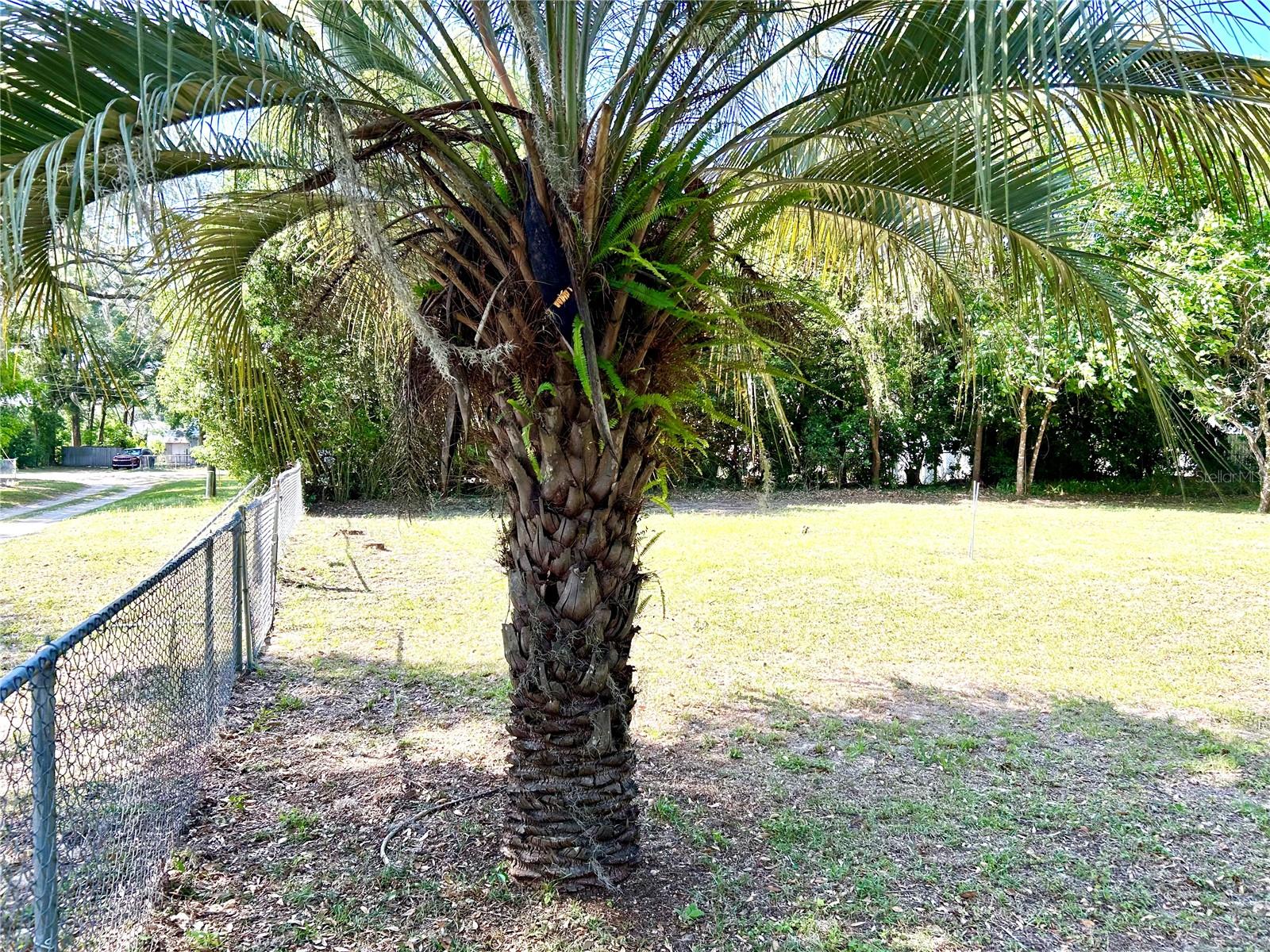 Image 7 of 10 For Tbd 62nd Avenue