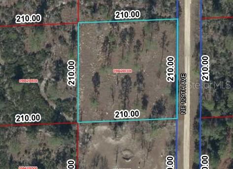 Details for 00 129th Avenue, WILLISTON, FL 32696
