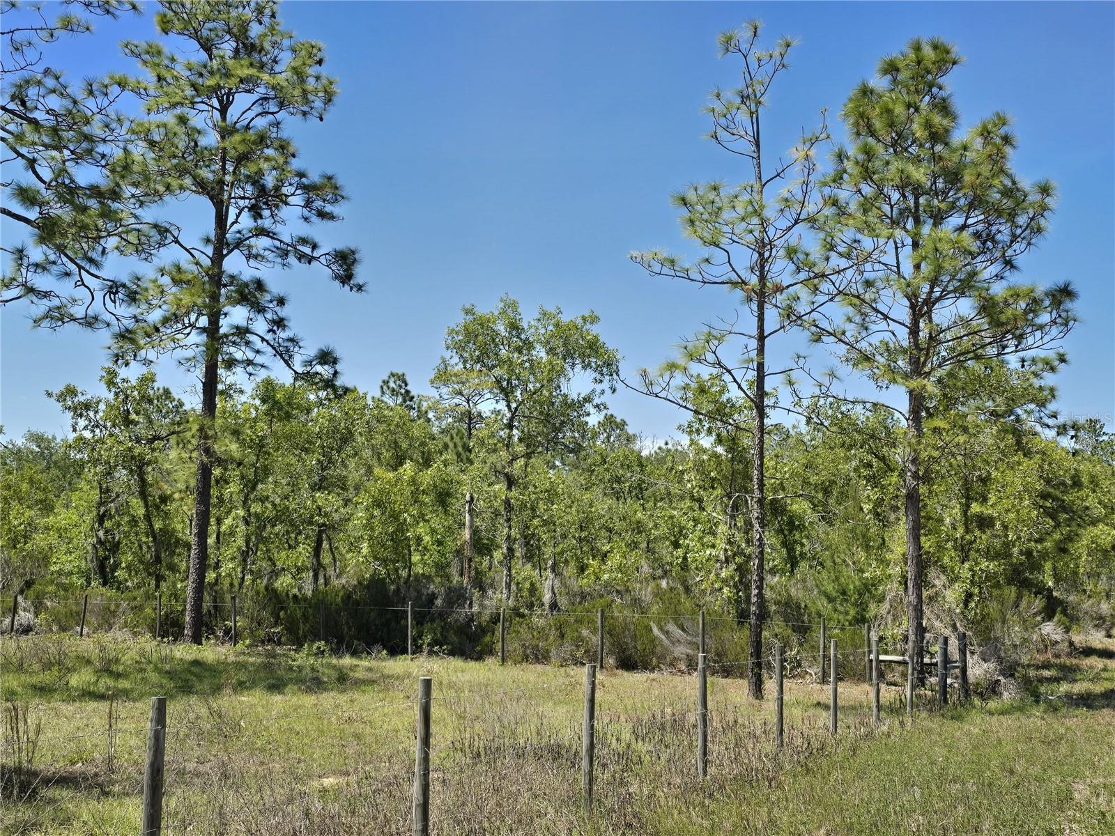 Image 10 of 15 For 00 129th Avenue