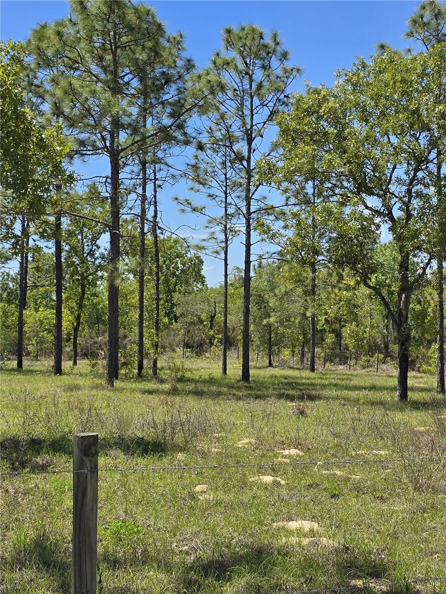 Image 11 of 15 For 00 129th Avenue