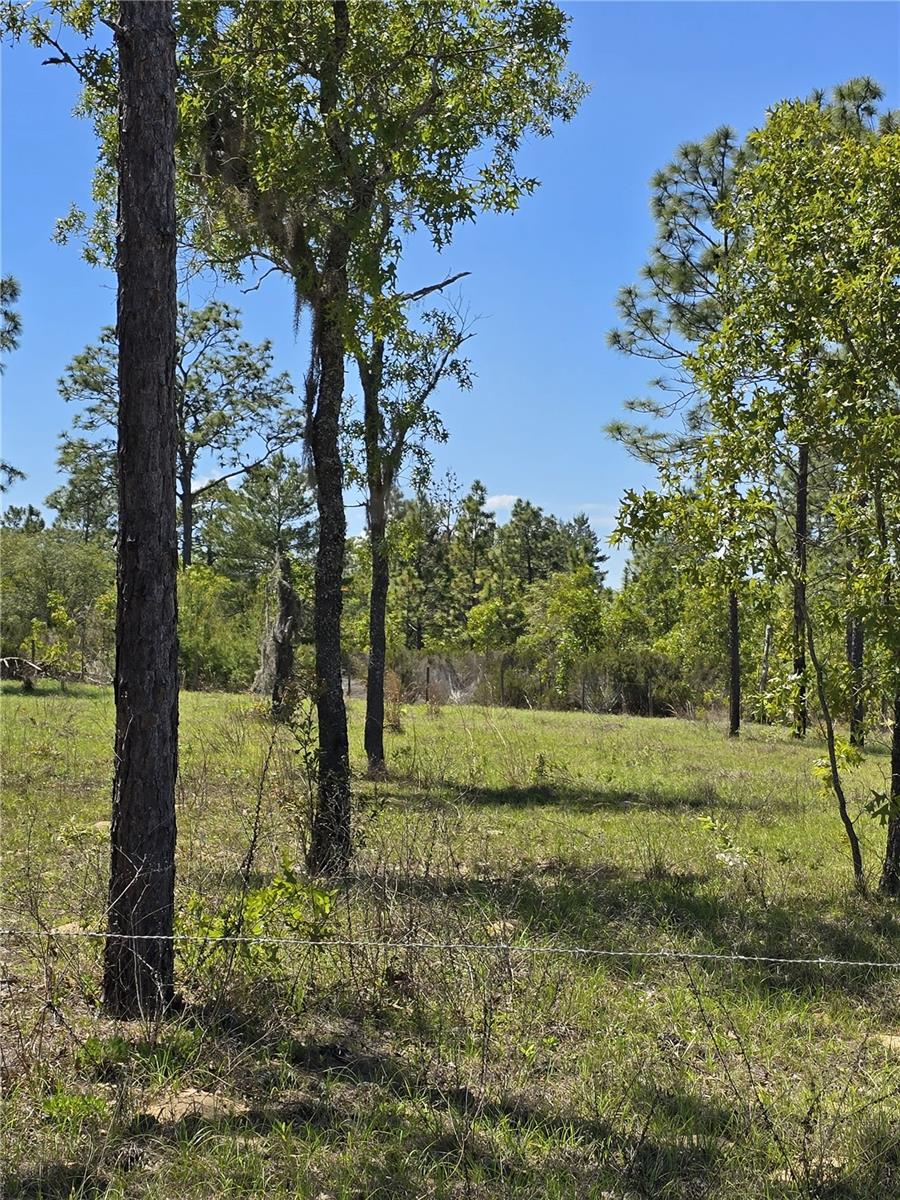 Image 12 of 15 For 00 129th Avenue